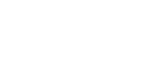 Burton Conseil SRL